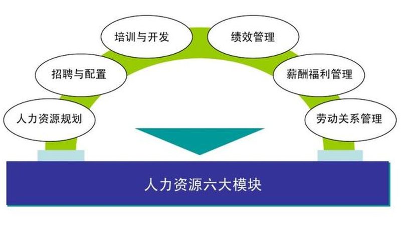 灵活就业社保代缴平台，排名背后藏着哪些门道