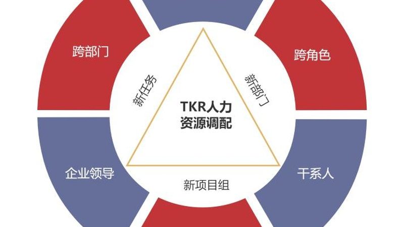 揭秘高级人才寻访背调流程：关键步骤与注意事项